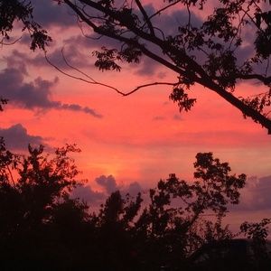 Meet your Posher, Nikole